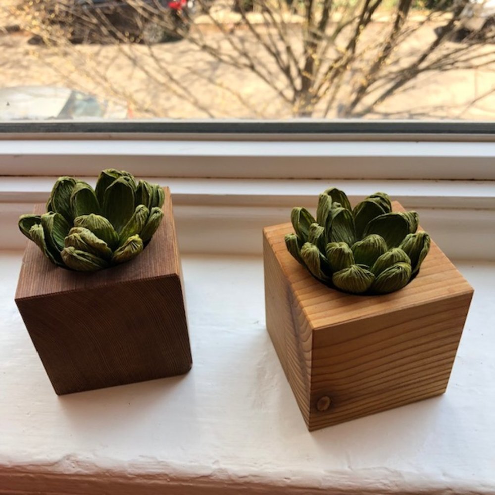 Paper succulent (set of 2)